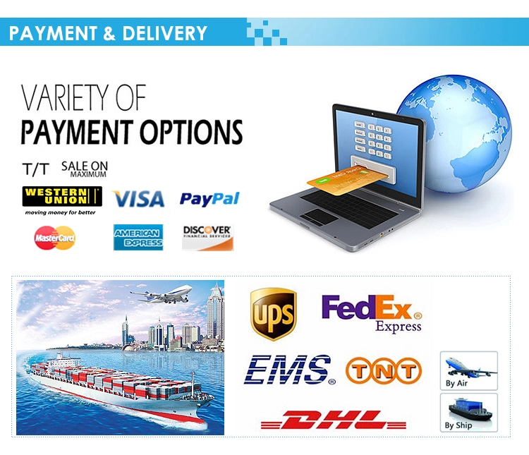 Top Quality Semi Car Hauler Trailer for Transporting Various Cars