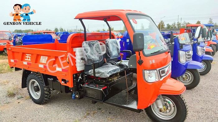 Heavy Duty Rear Dump Small Motor Tricycle